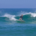 Surf Phipps One Bad Egg 6'8''Tint 2022