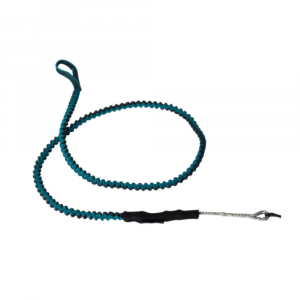 Leash mystic aile de wing waist teal